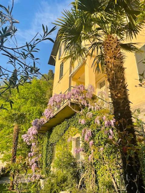 Villa Gina Varenna Exteriör bild
