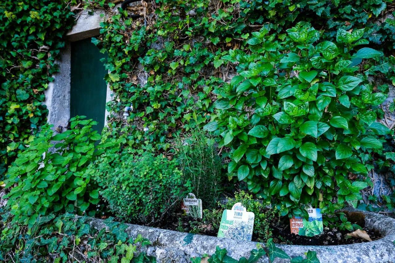Villa Gina Varenna Exteriör bild